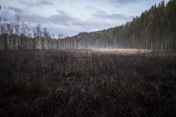 Solvik, Dalsland, Sweden  © François Struzik - simply human 2018