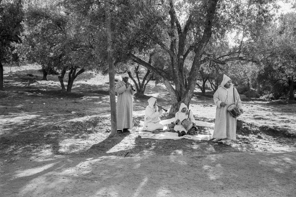 The Hamadcha pilgrimage - Sidi Ahmed - Morocco - © François Struzik - simply human 2009