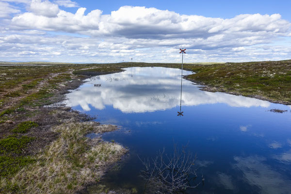 Hiking in Fulufjället, Dalarna, Sweden © François Struzik - simply human 2017