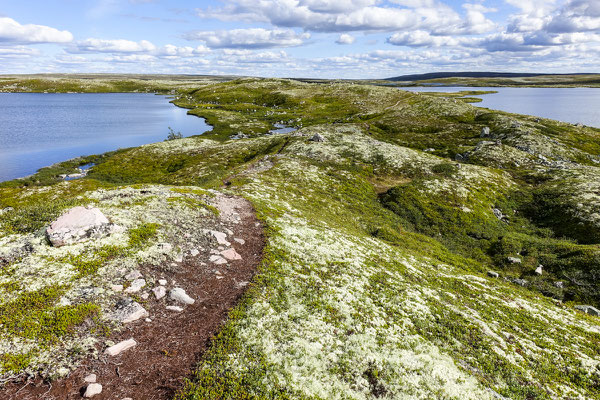 Hiking in Fulufjället, Dalarna, Sweden © François Struzik - simply human 2017