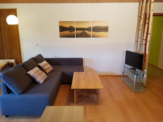 Wohnzimmer Ferienwohnung Monteurwohnung Landshut