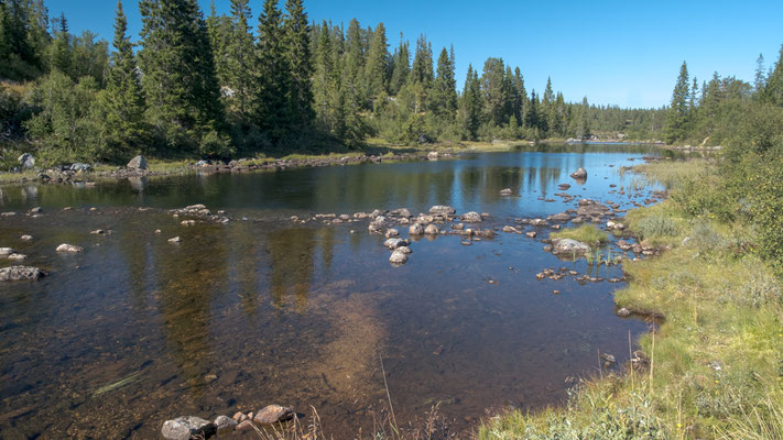 An unserem Freistehplatz