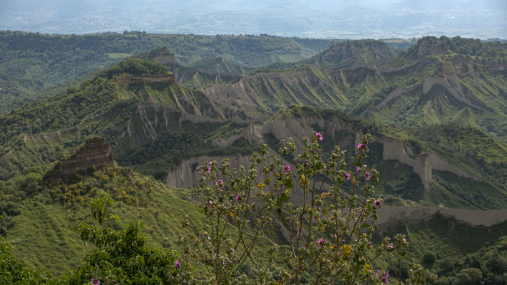 Bagnoregio