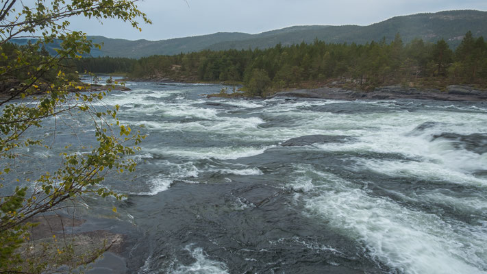 Am Fluss Otra, nördlich von Evje