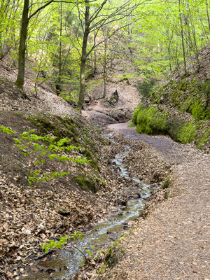 Drachenschlucht