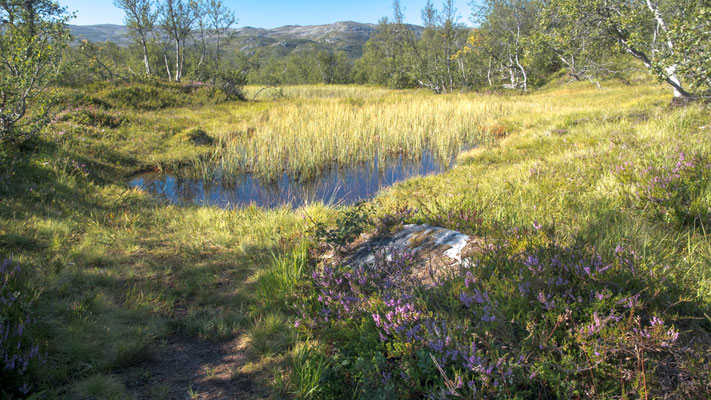 im Aufstieg zum Hovdenuten