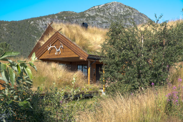 So was würde ich nehmen