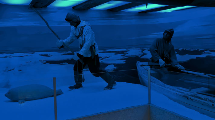 Szene aus dem Polarmuseum