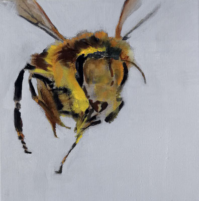 bee, 30 x 30 cm, Tempera/Öl/LW, 2021/sold