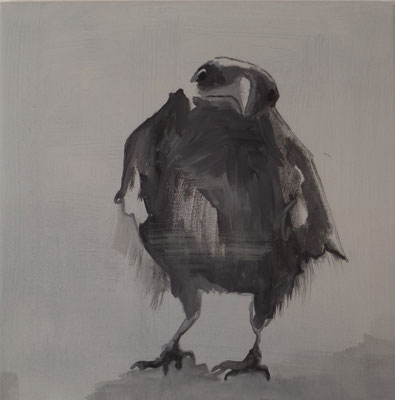 crow#3, 40 x 40 cm, Tempera/LW, 2017