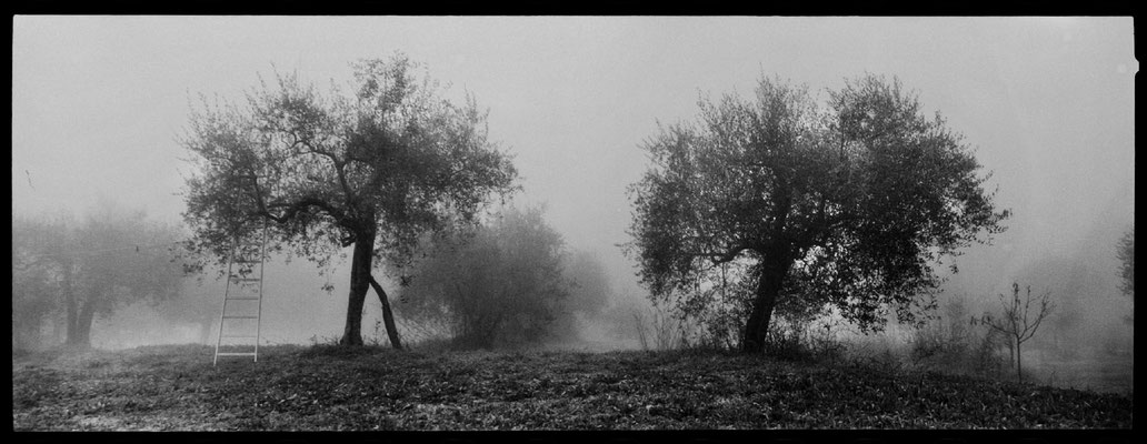 Fotografia di Daniele Vita