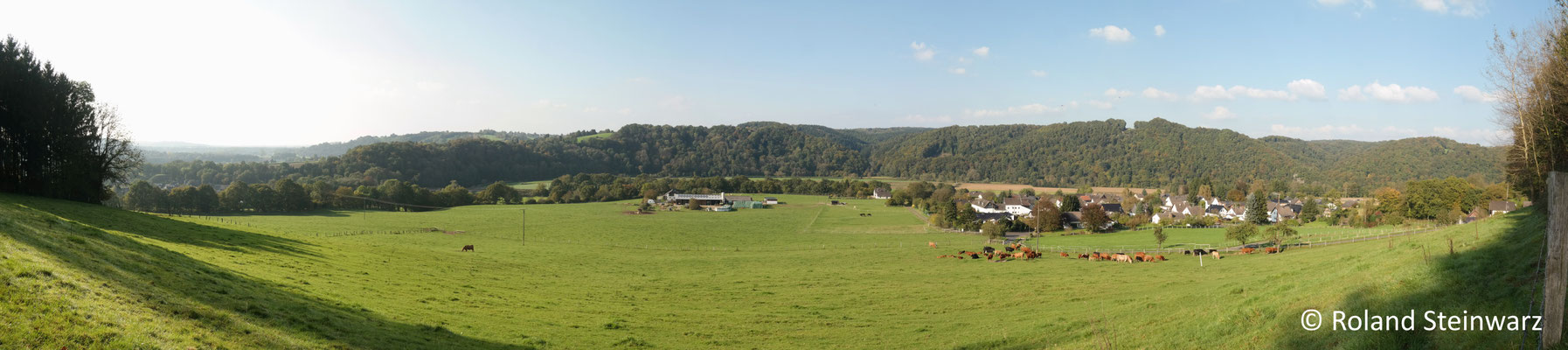 Siegtal bei Bülgenauel, 5 Einzelfotos