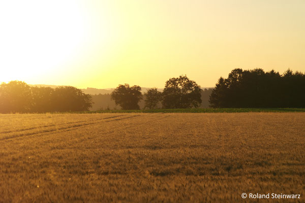 Sonnenaufgang über Gerstenfeld