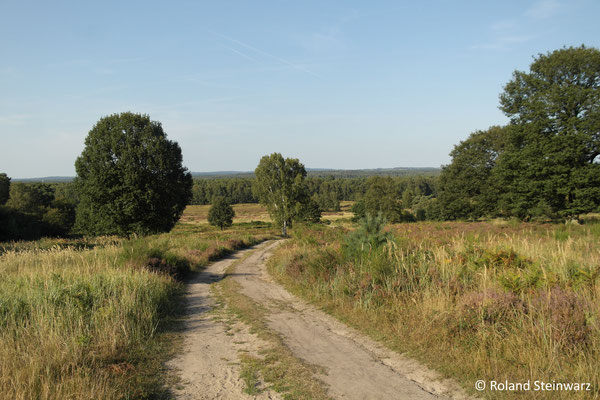 Wahner Heide