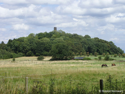 Der Tomberg mit der Ruine der Tomburg bei Wormersdorf