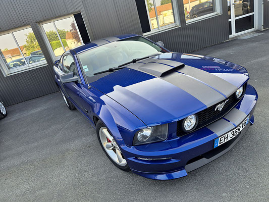 Mustang Bandes Gris Mat