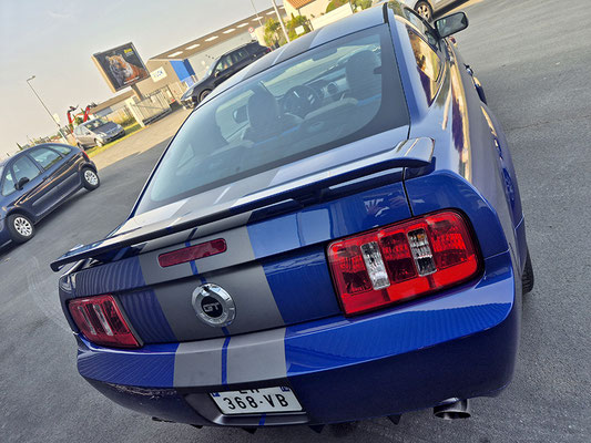 Mustang Bandes Gris Mat