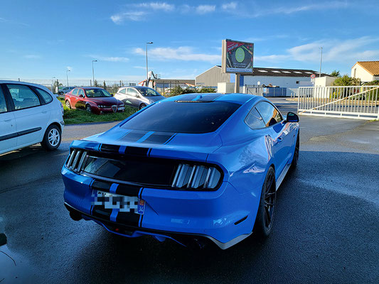 Mustang Bandes Noires