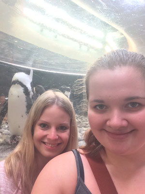 Selfie mit Pinguin