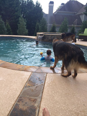 Pooltime mit Hund und Kegel