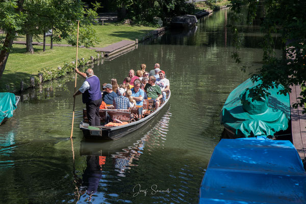 eine Kahnfahrt durch den Spreewald