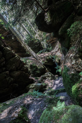 Schrammsteine im Elbsandsteingebirge