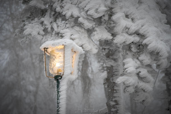 der Winter malt hier wunderschöne Bilder