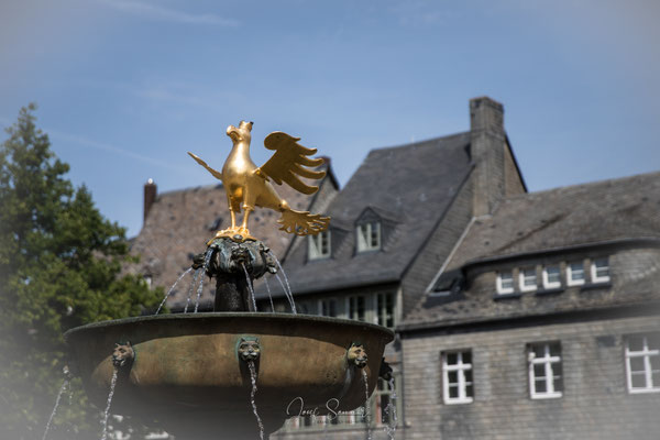 Marktbrunnen Goslar mit Brunnenadler