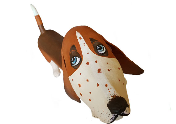 Hundekopf von oben mit blauen Augen.