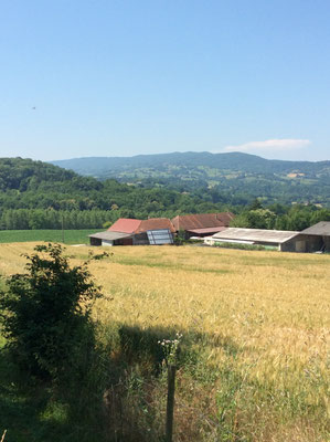Site de Yenne 