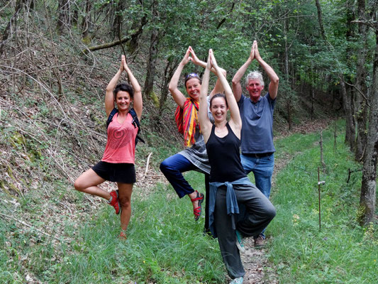 Retraite de yoga en pleine nature au Centre Viveka