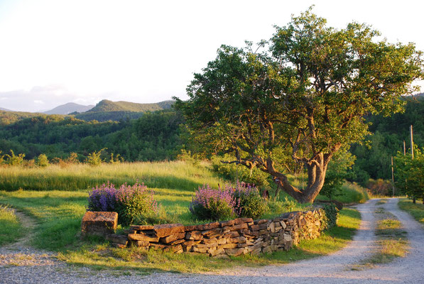 Centre Viveka Yoga Famille