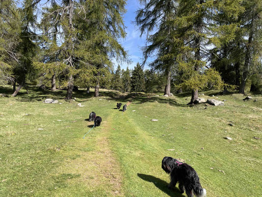 Wandern auf herrlichen Pfaden