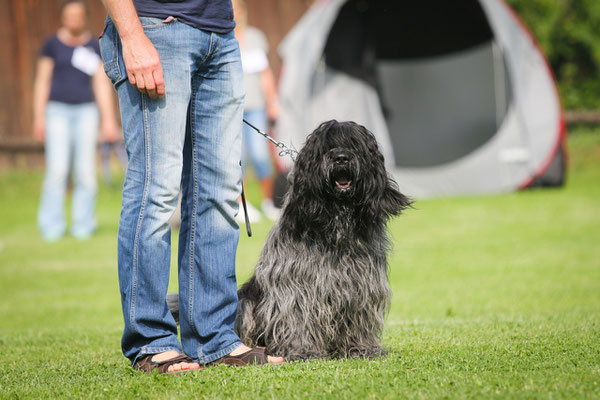 Cooper bei der Rüdenparade