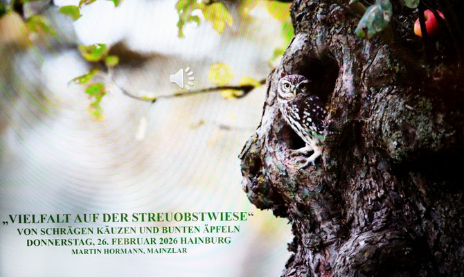 Foto: NABU/Gunther Reiche