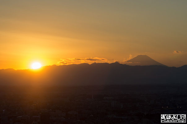 夕日と富士山（都庁展望台）2015.12.26