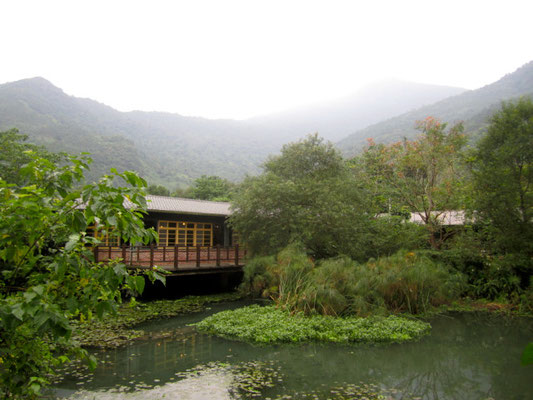 Nature