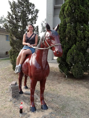 Lady riding