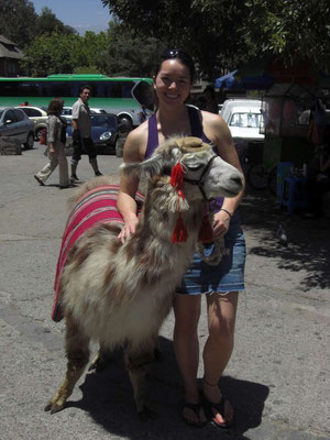 Another lama