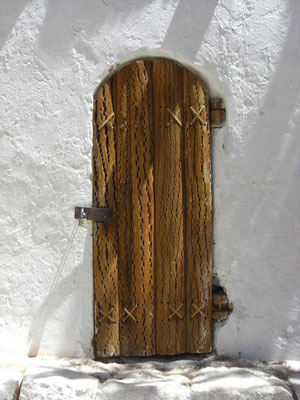 Cactus door