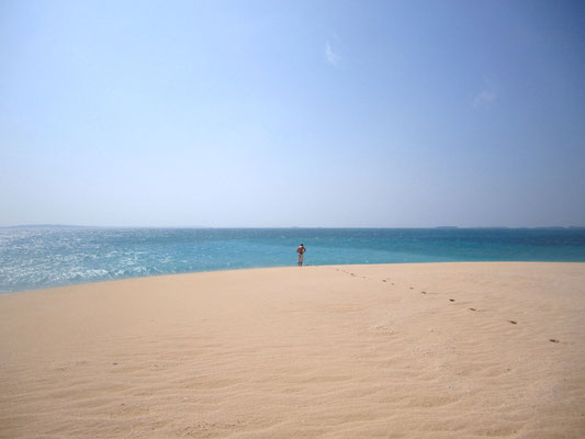 The fantastic sand tongue