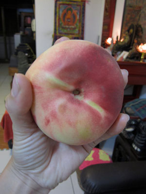 Huge peach