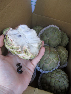 Buddha head fruit
