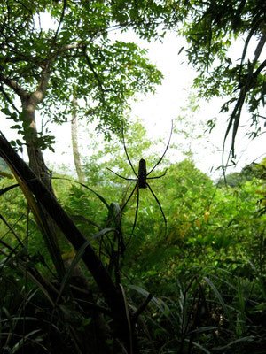 Hiking at Shihding Nanku