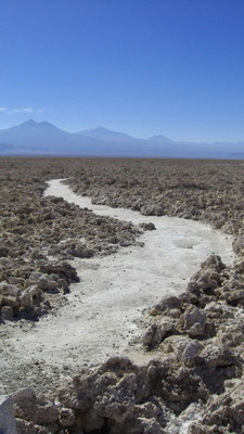 Salar de Atacama