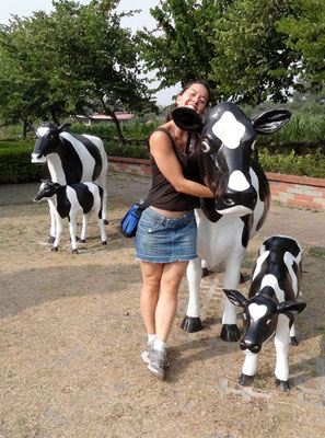 At a cow farm (I didn't see any real cows!?)