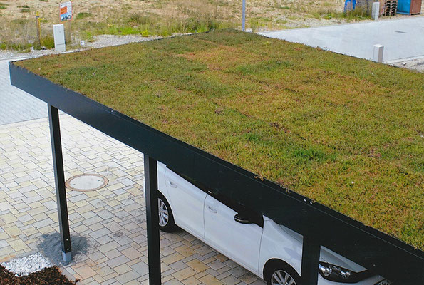 Beispiel-Nr. ST-34   Auf Wunsch möglich:  ext. Dachbegrünung durch patentierten Gründach-Aufsatzrahmen