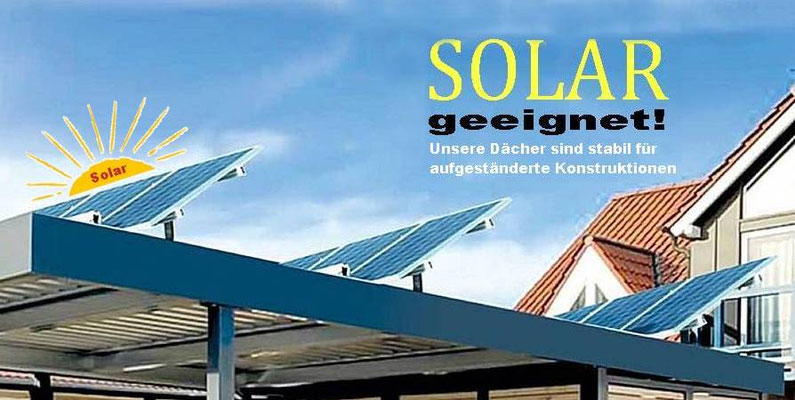 Beispiel-Nr. STC-15   Unsere stabilen Dächer eignen ideal sich für aufgeständerte Solar-Paneel-Konstruktionen