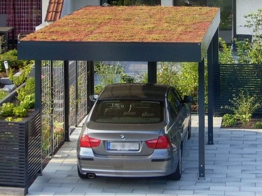 Beispiel-Nr. STC-2   Einzelcarport mit ext. Dachbegrünung als Extra