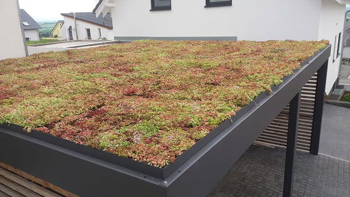 Beispiel-Nr. STRC23   Gründach-Bausatz für Stahlcarport wird immer häufiger mitbestellt